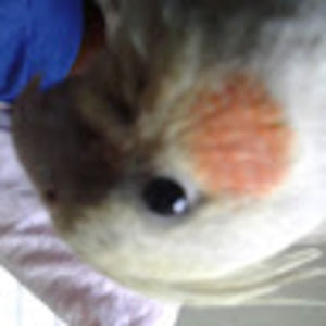 Meet your Posher, Danyell